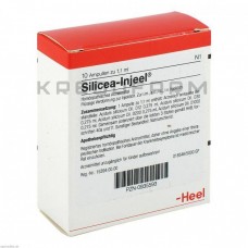 Силицея Иньель ● Silicea Injeel