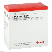 Силицея Иньель ● Silicea Injeel