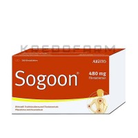 Согун ● Sogoon