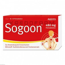Согун ● Sogoon