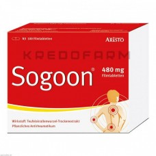 Согун ● Sogoon