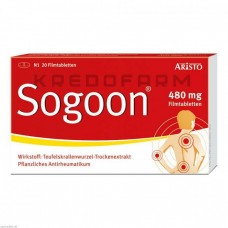 Согун ● Sogoon