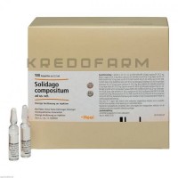 Солидаго Комп ● Solidago Comp