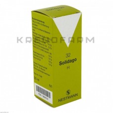 Солідаго ● Solidago