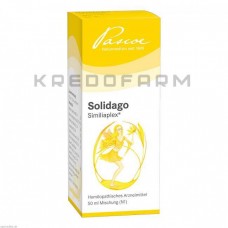 Солидаго Симилиаплекс ● Solidago Similiaplex