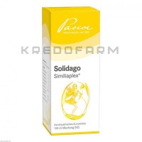 Солидаго Симилиаплекс ● Solidago Similiaplex