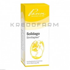 Солідаго Сіміліаплекс ● Solidago Similiaplex
