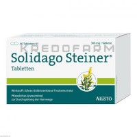 Солідаго Штейнер ● Solidago Steiner