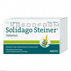 Солидаго Штейнер ● Solidago Steiner
