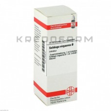 Солідаго Віргаура ● Solidago Virgaurea