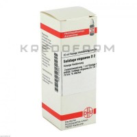 Солідаго Віргаура ● Solidago Virgaurea