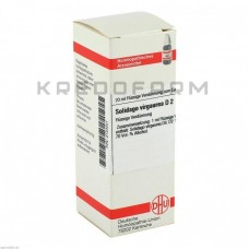 Солідаго Віргаура ● Solidago Virgaurea