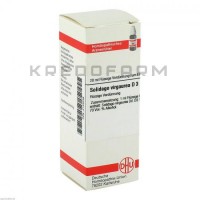 Солідаго Віргаура ● Solidago Virgaurea