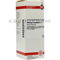 Солідаго Віргаура ● Solidago Virgaurea