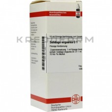 Солідаго Віргаура ● Solidago Virgaurea