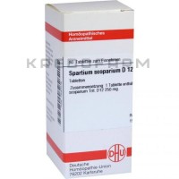 Спартиум Скопариум ● Spartium Scoparium