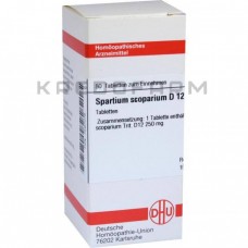 Спартіум Скопаріум ● Spartium Scoparium