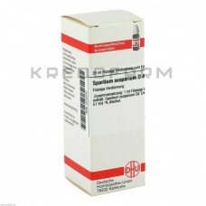 Спартіум Скопаріум ● Spartium Scoparium