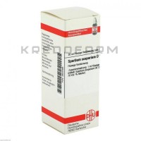 Спартиум Скопариум ● Spartium Scoparium