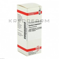 Спартіум Скопаріум ● Spartium Scoparium