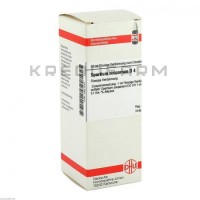 Спартиум Скопариум ● Spartium Scoparium