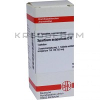 Спартиум Скопариум ● Spartium Scoparium