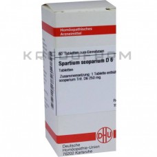 Спартіум Скопаріум ● Spartium Scoparium