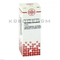 Спілантес ● Spilanthes