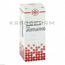 Спілантес ● Spilanthes