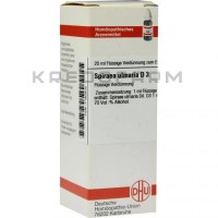 Спирея Ульмариа ● Spiraea Ulmaria