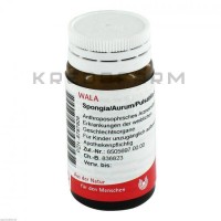 Спонгія Аурум ● Spongia Aurum