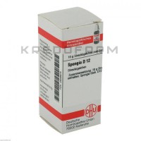 Спонджия ● Spongia