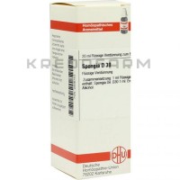 Спонджия ● Spongia