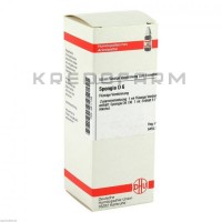 Спонджия ● Spongia