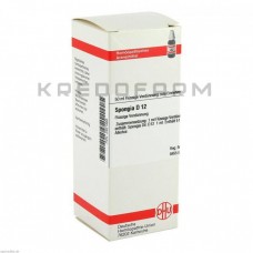 Спонджия ● Spongia