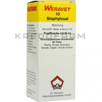 Стафилосал ● Staphylosal