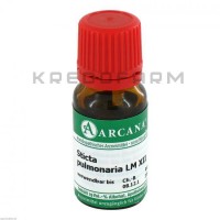 Стикта Пульмонариа ● Sticta Pulmonaria