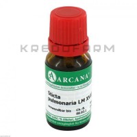 Стикта Пульмонариа ● Sticta Pulmonaria