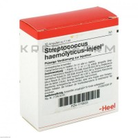 Стрептококкус Гемолітікус ● Streptococcus Haemolyticus