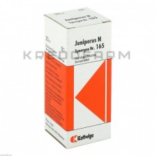 Синергон Комплекс ● Synergon Komplex