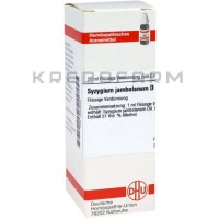 Сізігіум Джамболанум ● Syzygium Jambolanum