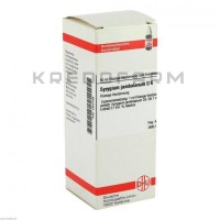 Сізігіум Джамболанум ● Syzygium Jambolanum