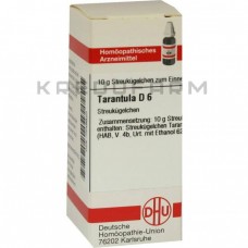 Тарантула ● Tarantula