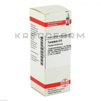 Тарантула ● Tarantula