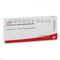 Тараксакум ● Taraxacum