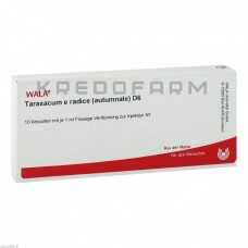 Тараксакум ● Taraxacum