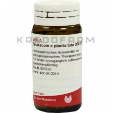 Тараксакум ● Taraxacum