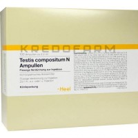 Тестис Композитум ● Testis Compositum