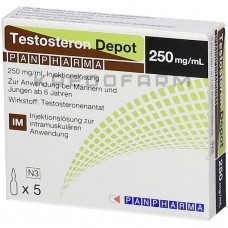 Тестостерон ● Testosteron