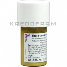 Туя Комп ● Thuja Comp